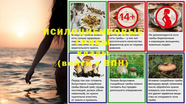 метадон Алексин