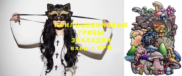 метадон Алексин